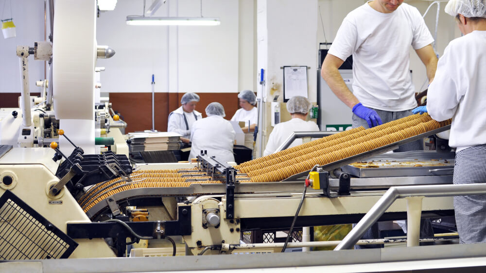 workers sort biscuits on a conveyor belt in a factory - production in the food industry